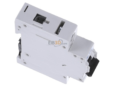 View top left Eaton FAZ-K16/1 Miniature circuit breaker 1-p K16A 
