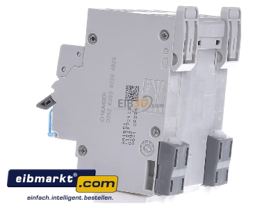 View on the right Hager ADX432D Earth leakage circuit breaker B32/0,03A
