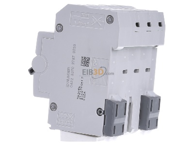 View on the right Hager ADZ366D Earth leakage circuit breaker C16/0,03A 
