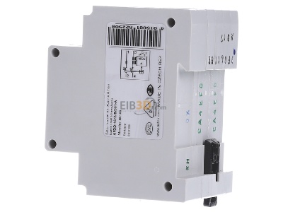 View on the right Eaton AFDD-16/2/B/001-A Miniature circuit breaker 2-p C16A 

