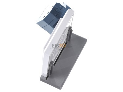 Ansicht oben rechts Eltako BPS55 #30000037 Blister-Pack Schalten BPS55 30000037