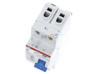 View up front ABB F202B-63/0,3-2TE Residual current breaker 2-p 
