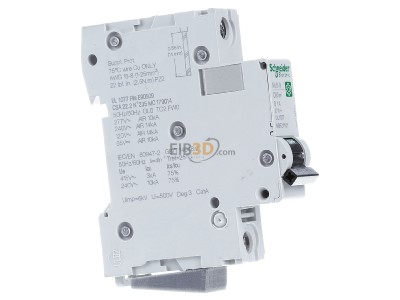 View on the left Schneider Electric M9F21101 Miniature circuit breaker 1-p B1A 
