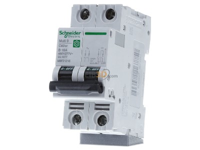 Front view Schneider Electric M9F21216 Miniature circuit breaker 2-p B16A 
