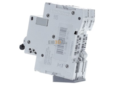 View on the right Schneider Electric M9F21216 Miniature circuit breaker 2-p B16A 

