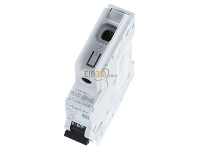 View up front Schneider Electric M9F42103 Miniature circuit breaker 1-p C3A 
