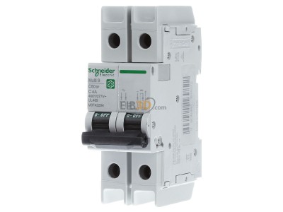 Front view Schneider Electric M9F42204 Miniature circuit breaker 2-p C4A 
