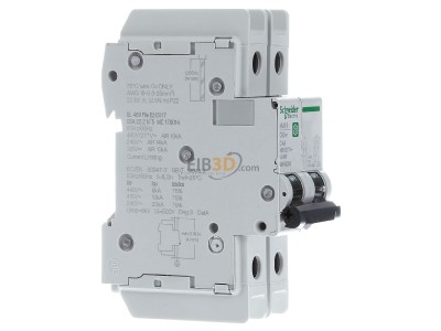 View on the left Schneider Electric M9F42204 Miniature circuit breaker 2-p C4A 
