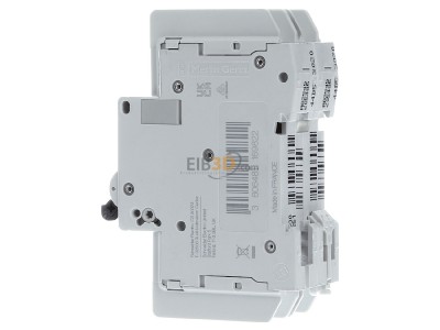 View on the right Schneider Electric M9F42204 Miniature circuit breaker 2-p C4A 

