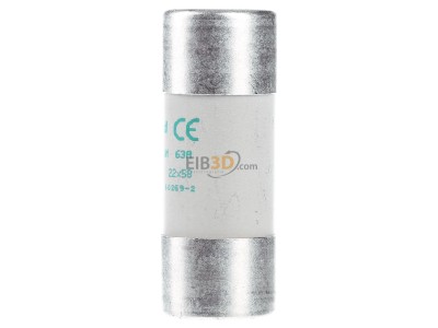 View on the right Legrand Bticino 15063 Cylindrical fuse 22x58 mm 63A 

