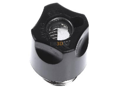 View top left Siemens 5SH1112 Diazed screw cap NDZ 
