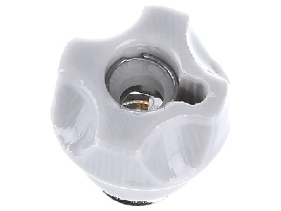 View top left Mersen 01770.000200 Neozed screw cap D01 
