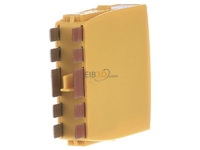 Back view Dehn BXTU ML4 BD 0-180 Combined arrester for signal systems 
