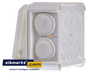 View on the right OBO Bettermann TD-4/I Surge protection for signal systems
