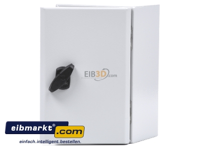 Front view Schneider Electric NSYS3D3215P Switchgear cabinet 300x150x150mm IP66 
