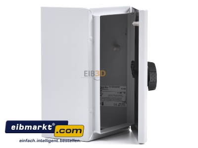 View on the left Schneider Electric NSYS3D3215P Switchgear cabinet 300x150x150mm IP66 
