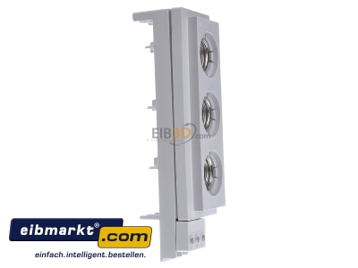 View on the left Rittal SV 3433.040(VE5) Diazed fuse base 3xDIII 63A 
