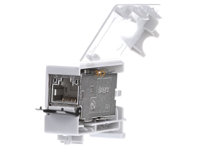 Front view Hager ZZ45ZPH6 RJ45 8(8) jack 
