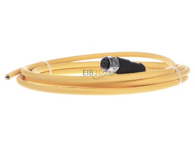 Frontansicht Pilz PSEN #540319 Kabel mit geradem Stecker M12 8-pol. 3m PSEN 540319