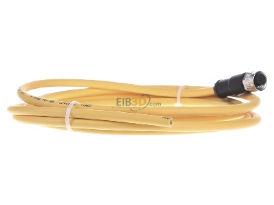 Ansicht links Pilz PSEN #540319 Kabel mit geradem Stecker M12 8-pol. 3m PSEN 540319