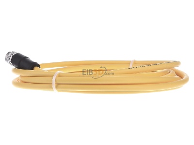 Ansicht rechts Pilz PSEN #540319 Kabel mit geradem Stecker M12 8-pol. 3m PSEN 540319