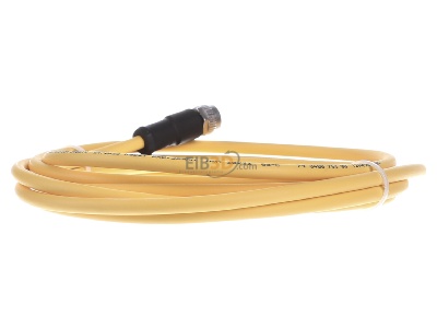 Ansicht hinten Pilz PSEN #540319 Kabel mit geradem Stecker M12 8-pol. 3m PSEN 540319