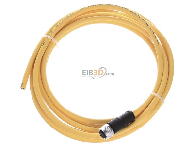 Ansicht oben vorne Pilz PSEN #540319 Kabel mit geradem Stecker M12 8-pol. 3m PSEN 540319