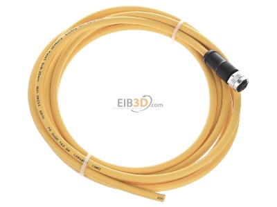Ansicht oben links Pilz PSEN #540319 Kabel mit geradem Stecker M12 8-pol. 3m PSEN 540319