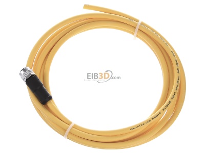 Ansicht oben rechts Pilz PSEN #540319 Kabel mit geradem Stecker M12 8-pol. 3m PSEN 540319