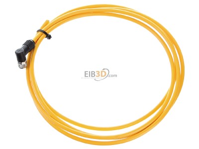 Ansicht oben rechts Pilz PSEN Kabel #533110 Kabel mit Winkelstecker 2m PSEN Kabel 533110