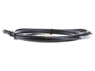 View on the right Murrelektronik 7000-08041-6300500 Sensor-actuator patch cord 
