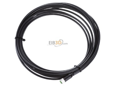 View up front Murrelektronik 7000-08041-6300500 Sensor-actuator patch cord 
