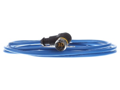 Front view Turck WKC4.221T-2/TEB Sensor-actuator patch cord 2m M12 
