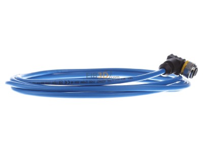 View on the left Turck WKC4.221T-2/TEB Sensor-actuator patch cord 2m M12 
