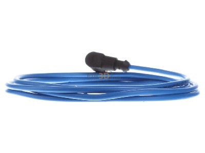Back view Turck WKC4.221T-2/TEB Sensor-actuator patch cord 2m M12 
