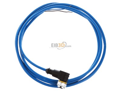 View up front Turck WKC4.221T-2/TEB Sensor-actuator patch cord 2m M12 
