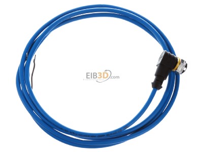 View top left Turck WKC4.221T-2/TEB Sensor-actuator patch cord 2m M12 
