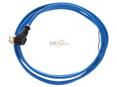 View top right Turck WKC4.221T-2/TEB Sensor-actuator patch cord 2m M12 
