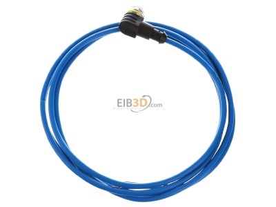 Top rear view Turck WKC4.221T-2/TEB Sensor-actuator patch cord 2m M12 
