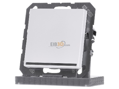 Frontansicht Jung A 1539-OO WW LNW LED-Orientierungslicht weie LEDs bruchs. 