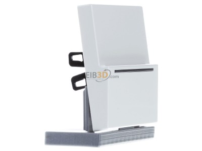 Ansicht links Jung LS CARD RFID WW Hotelcard-Schalter RFID 