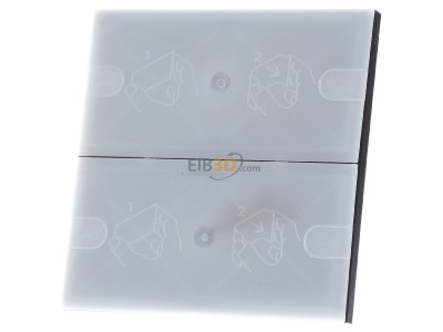 Front view Gira 5052028 Touch sensor for home automation 4-fold 
