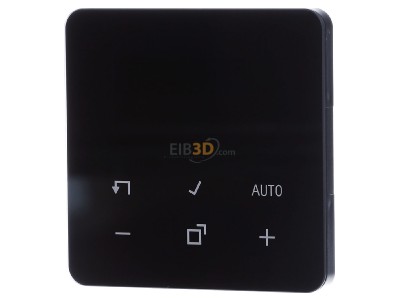 Frontansicht Jung CD 1790 D SW Display Standard Serie CD, schwarz 