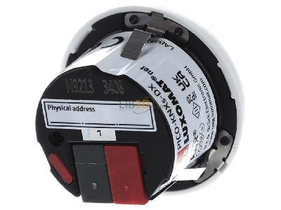 Ansicht hinten BEG PICO-KNXs-DX-DE Prsenzmelder KNX 