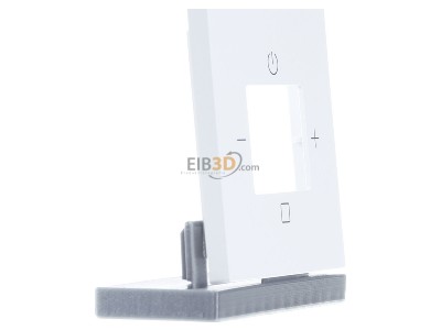 View on the left Busch Jaeger 8252-44M-101 Central cover plate 
