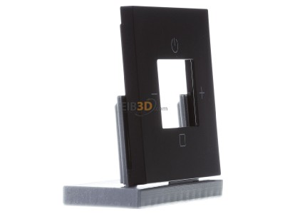 View on the left Busch Jaeger 8252-45M-101 Central cover plate 
