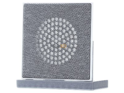 Front view Busch Jaeger 8253-44G Central cover plate 
