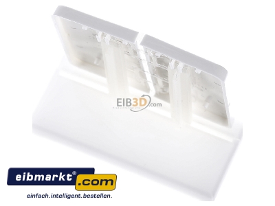 Ansicht oben hinten Jung CD 402 TSA WW Tastensatz 2-fach aws komplett 