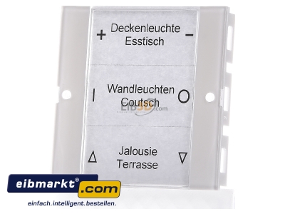 Front view Gira 213103 Touch rocker for home automation white
