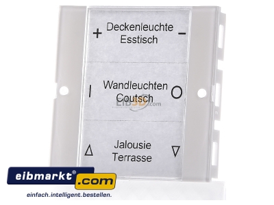 Frontansicht Gira 213103 Wippenset 1-fach rws/gl 